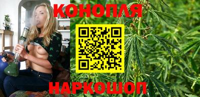 тгк Севастополь