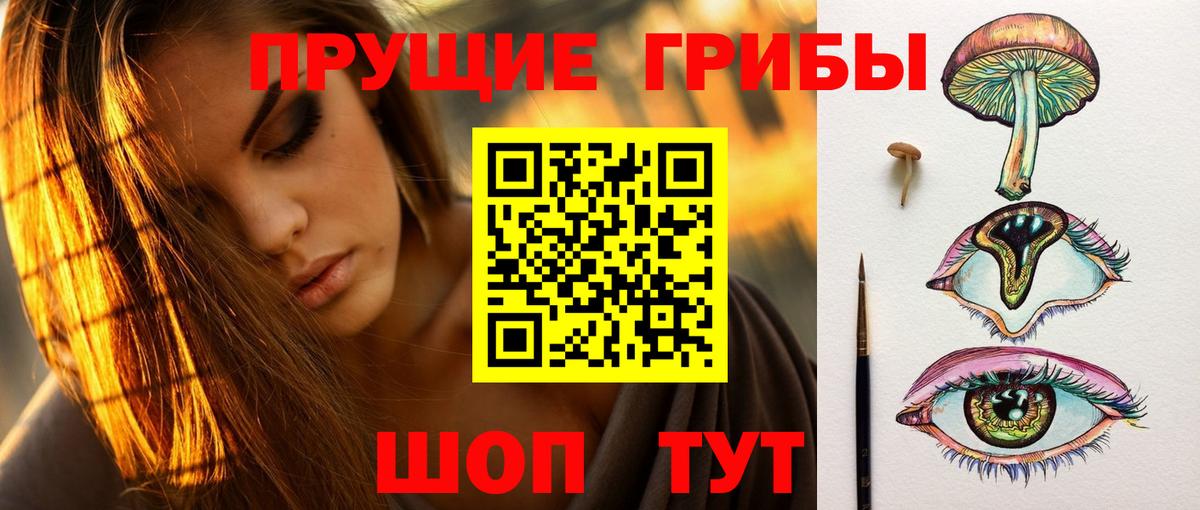 Псилоцибиновые грибы GOLDEN TEACHER Нефтекамск